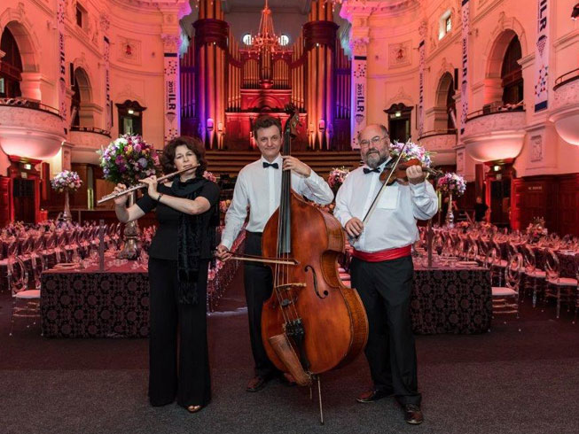 Hungarian trio - Corporate Events